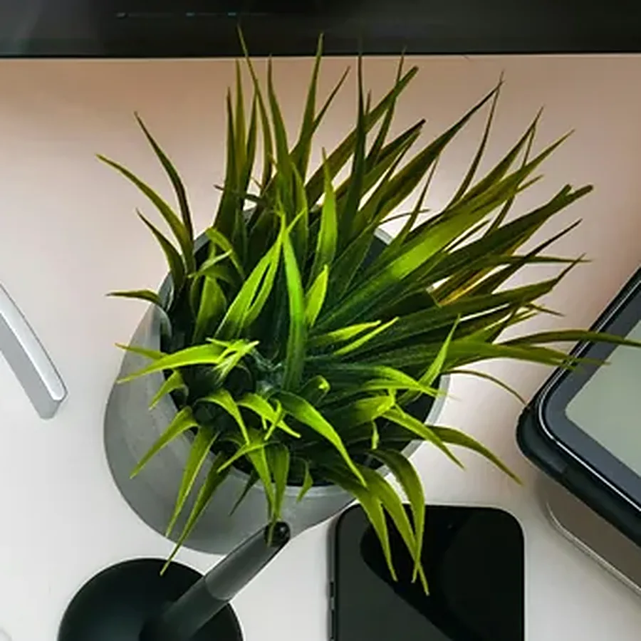 Desk Plant with Stand